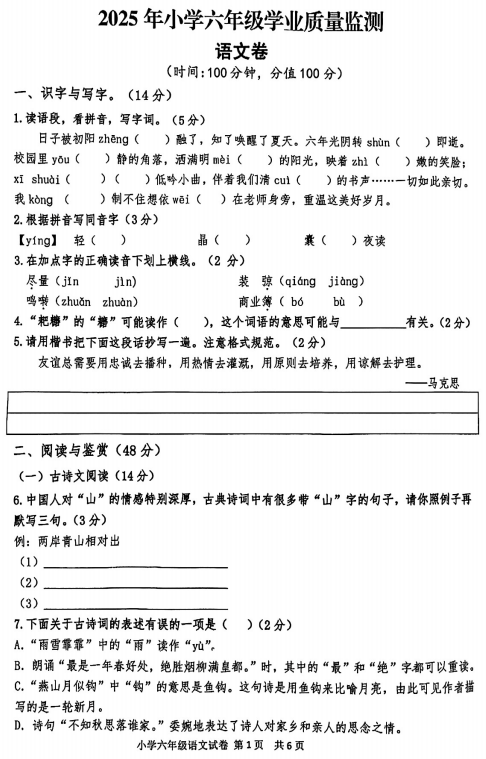 江苏省宿迁市泗阳县2024-2025学年六年级下学期期末语文试题