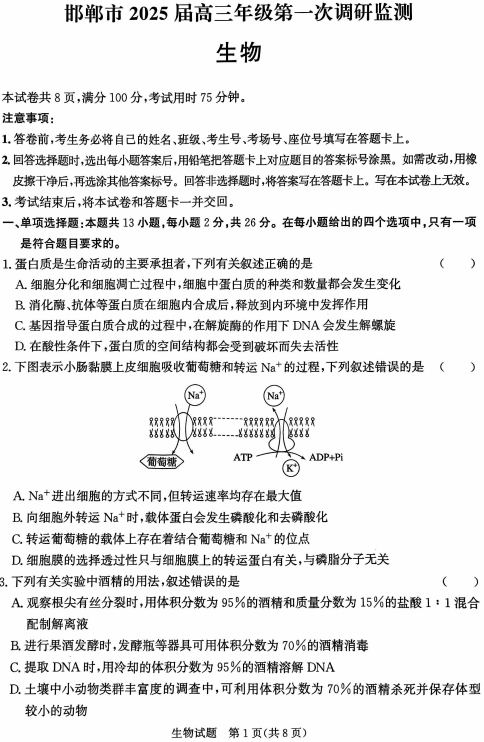 河北省邯郸市2025届高三上学期第一次调研测试生物试卷